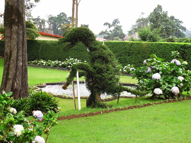 Der Park im Vintage-Hotel in Nuwara Eliya, Sri Lanka