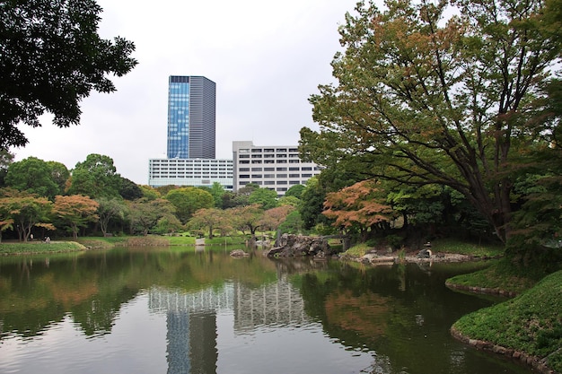 Der Park in der Innenstadt von Tokio Japan