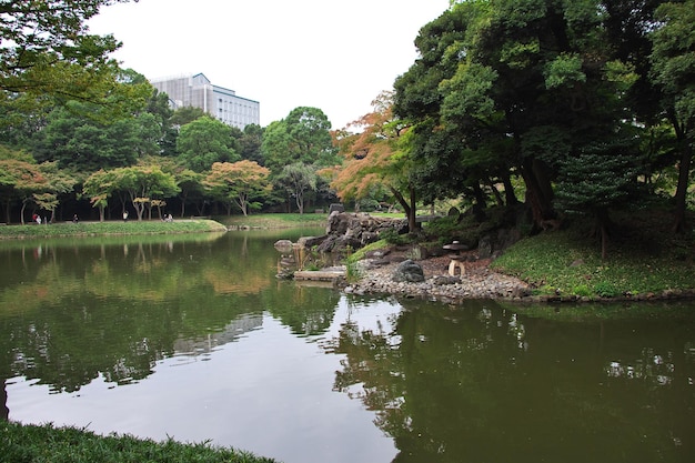 Der Park in der Innenstadt von Tokio Japan