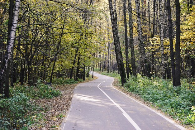 Der Pfad im Herbstpark - Herbstlandschaft