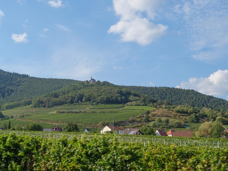 Foto der pfalz in deutschland.