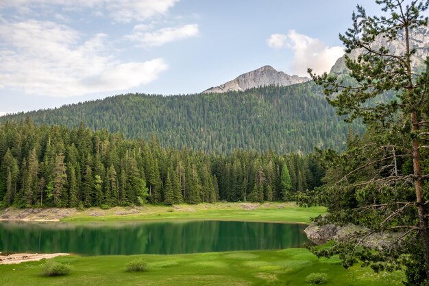 Der prächtige Schwarze See befindet sich im Nationalpark Durmitor im Norden Montenegros