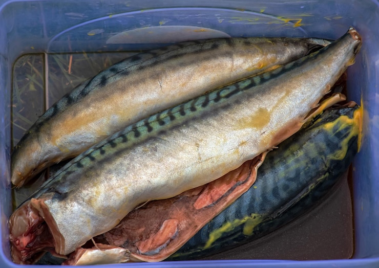 Foto der prozess des kochens von makrelenfisch in marinade auf dem grill der fisch wird in gewürzen gesalzen