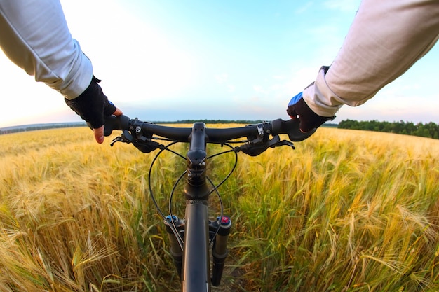 Der Radfahrer hält den Lenker eines Fahrrads mit den Händen auf dem Hintergrund eines Weizenfeldes und eines Sonnenuntergangshimmels. Sport und Reisen