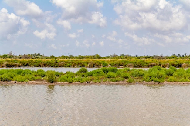 Der regionale Naturpark der Camargue