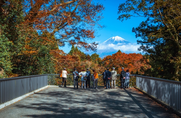 Der Reisende, der Mt Fuji und buntes Herbstblatt Shiraito betrachtet, fällt in Fujinomiya, Shizuoka, Japan.