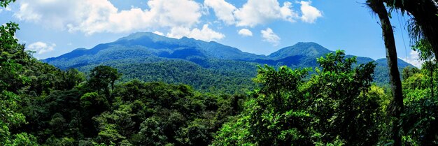 Der Rio Celeste im Tenorio-Nationalpark