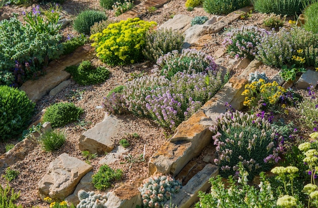 Foto der rockery garden