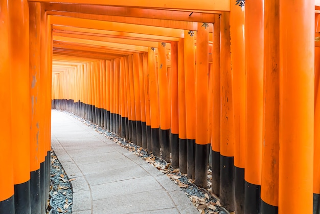 der rote Torii-Torweg