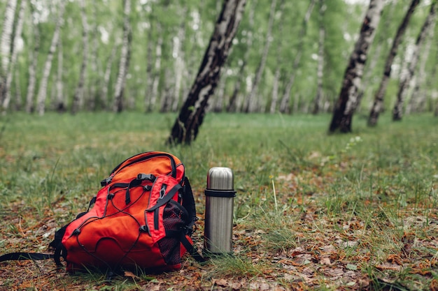 Der Rucksack des Touristen, Thermosflasche mit Waldreisen des Tees im Frühjahr