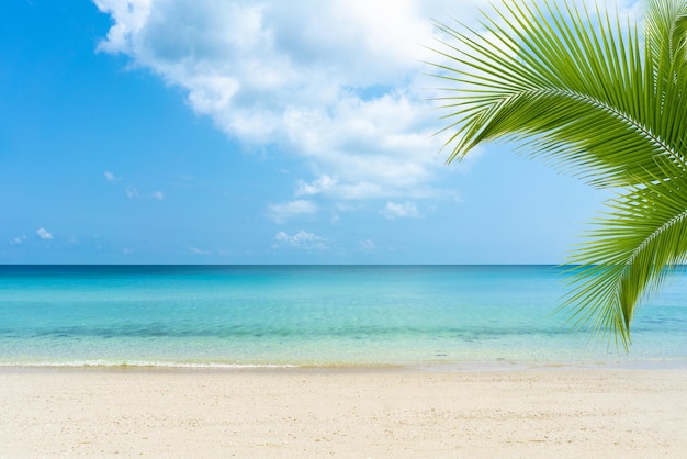 Der Sandstrand am sonnigen Tag mit dem schönen Meerwasser im Ferienkonzept Sommer am Strand zum Entspannen