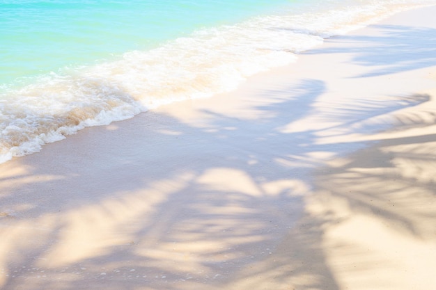 Der Schatten von Palmblättern auf dem weißen Sand der Küste mit einer azurblauen schäumenden Welle Reisen und Tourismus