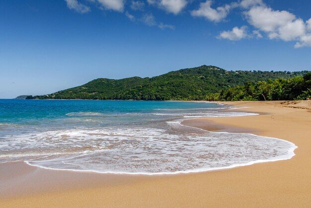 Der Schaum einer Welle, die am Strand von Grande Anse in Guadeloupe, Westindien, zum Sterben kommt