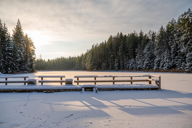 Der Schnee auf dem schneebedeckten bewaldeten See Melnezers in den Strahlen der Abendsonne Lettland