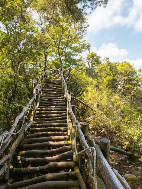 Der schöne Bergweg umgeben von Bäumen.