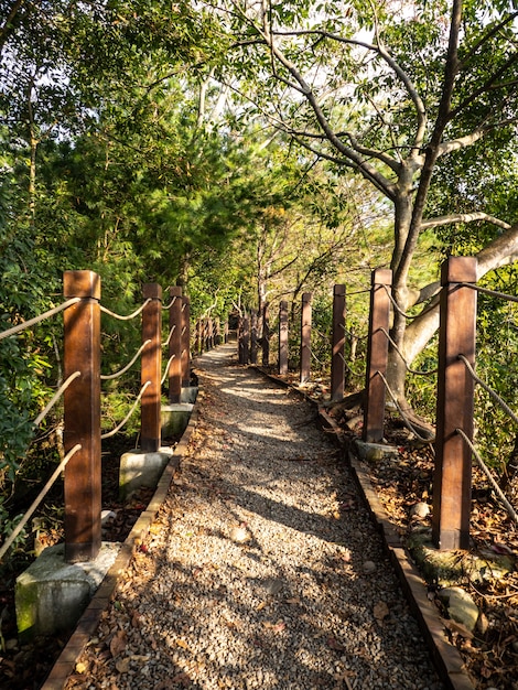 Der schöne Bergweg, umgeben von Bäumen