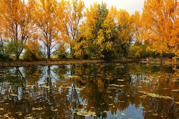 Der schöne See in der Herbstsaison