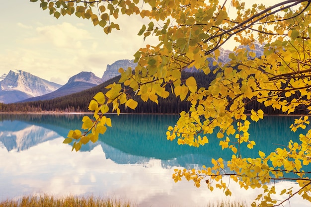 Der schöne See in der Herbstsaison