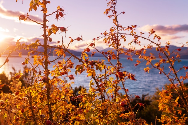 Der schöne See in der Herbstsaison