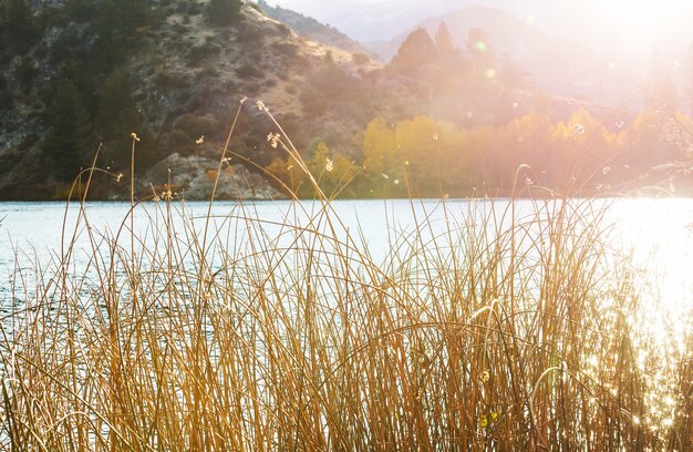 Der schöne See in der Herbstsaison