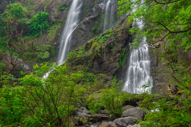 Der schöne Wasserfall im tiefen Wald im Nationalpark Khlong Lan