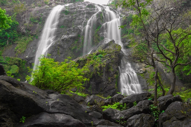 Der schöne Wasserfall im tiefen Wald im Nationalpark Khlong Lan