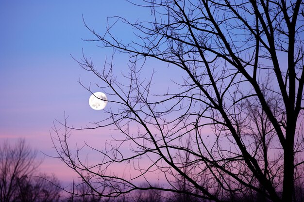 Der schwindende Gibbous-Mond verschwindet