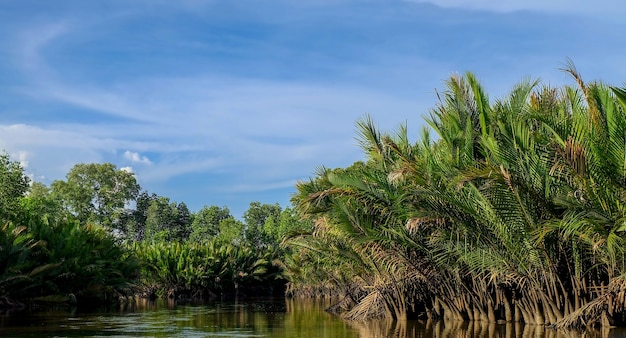 Der See in Chanthaburi