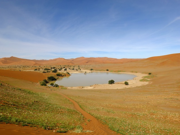 Der See in den Dünen, Namib Wüste, Sossusvlei, Namibia