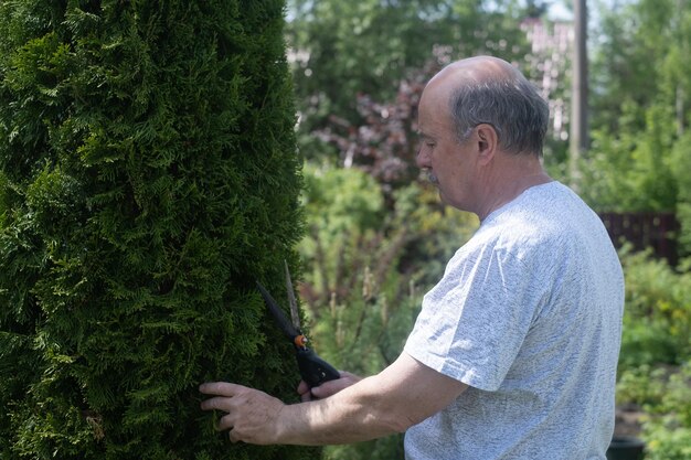 Der Senior schneidet mit einer großen Gartenschere Büsche in seinem Garten