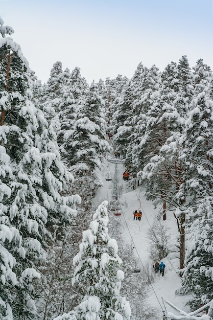 Der Skilift bringt Skifahrer und Snowboarder nach Schneefall durch hohe Kiefern