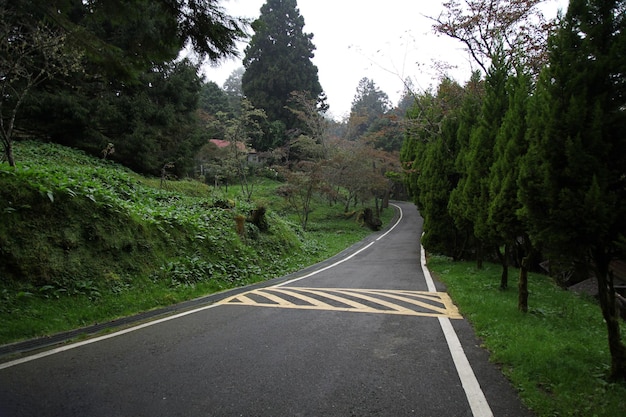 Foto der spaziergang in der nähe des bahnhofs alishan im nationalpark alishan