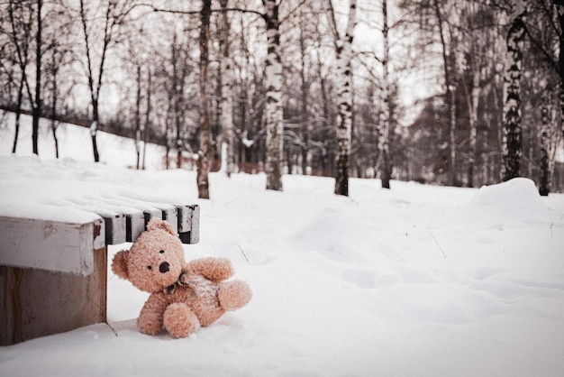 Der Spielzeugbär wurde im Winter auf dem Kinderspielplatz gelassen