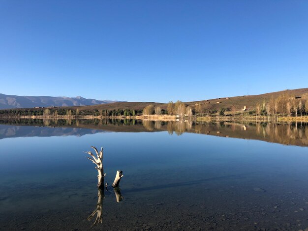 Der Stamm eines abgestorbenen Baumes spiegelt sich im Spiegel der stillen Wasseroberfläche