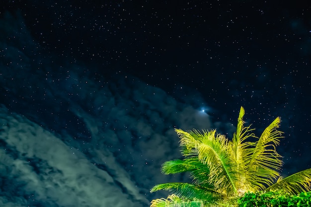 Foto der sternenhimmel mit kokosnuss in der nacht