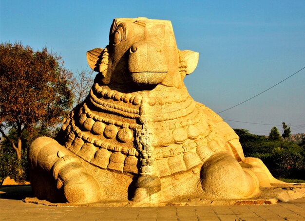 Foto der stier nandi, der torhüter und das fahrzeug von lord shiva in lepakshi in andhra pradesh