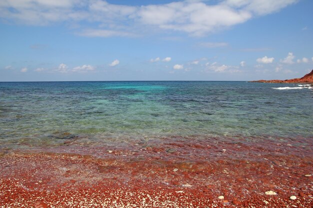 Der Strand Dihamri auf der Insel Sokotra im Indischen Ozean Jemen