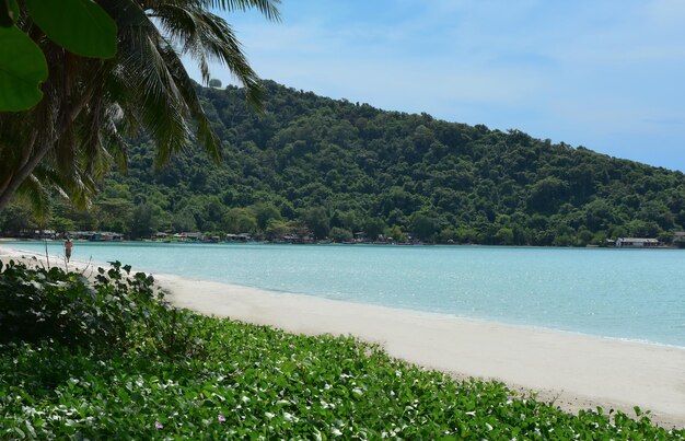 Der Strand hat wunderschönes Wasser und Sand