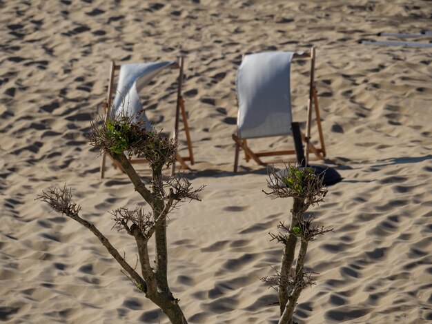 Foto der strand von de haan in belgien.