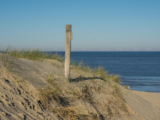 Foto der strand von egmond