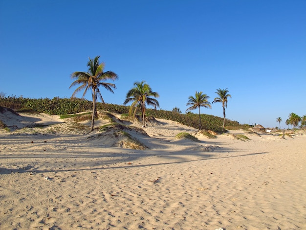 Der Strand von karibischem Meer auf Havana, Kuba