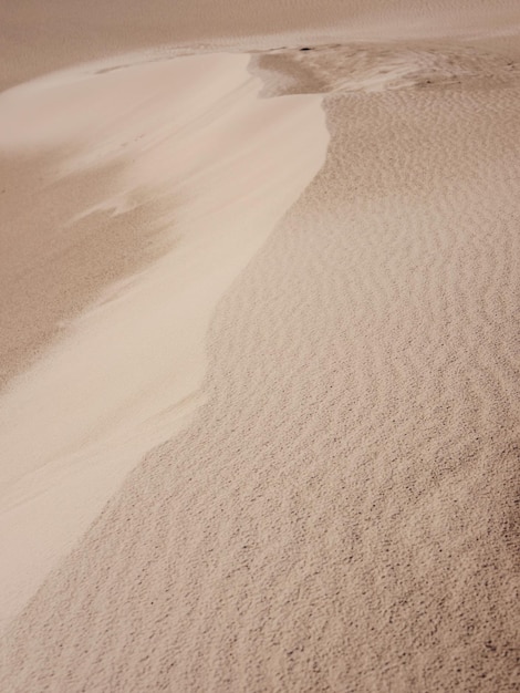 Der Strand von Patara ist ein berühmtes touristisches Wahrzeichen und ein natürliches Reiseziel in der Türkei.