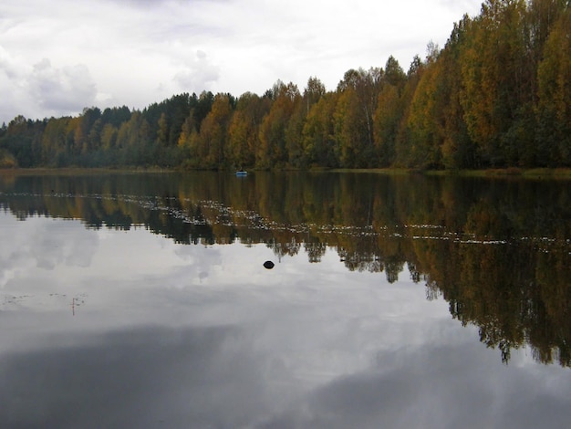 Der Suna-Fluss mit bewölktem Himmel und Herbstbäumen im Hintergrund Girvas Republik Karelien