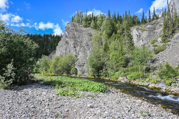 Der Taiga-Fluss des Polarurals