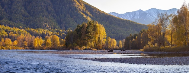 Der Taiga-Fluss in Sibirien Panoramablick auf die Herbstnatur