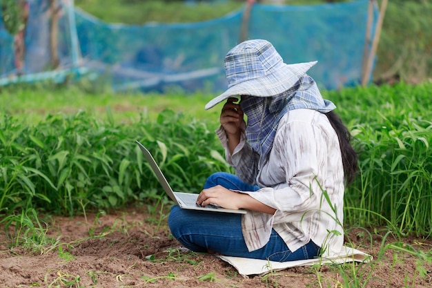 Der thailändische Bauer verwendet einen Laptop in einer frischen Morgenruhm-Gemüsefarm, ein gesundes Bio-Lebensmittel- und Technologiekonzept, wählen Sie den Fokus mit geringer Schärfentiefe