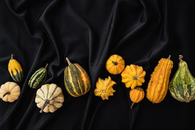 Der Tisch ist mit einer schwarzen Halloween-Tischdecke mit Kürbissen bedeckt