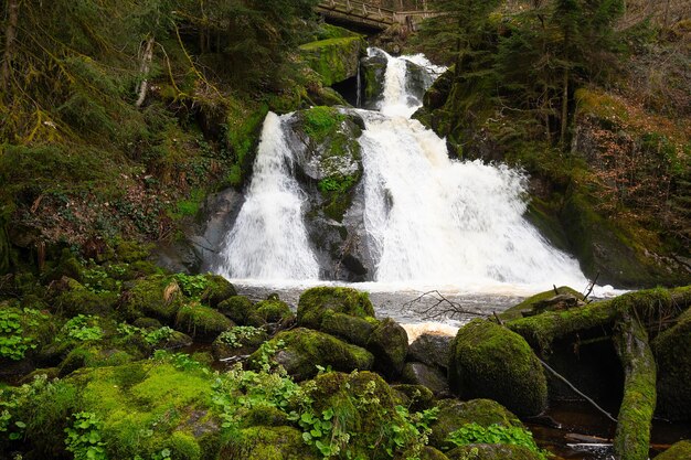 Der Triberg-Wasserfall im Schwarzwald, der höchste Wasserfall Deutschlands, stürzt über sieben Stufen.