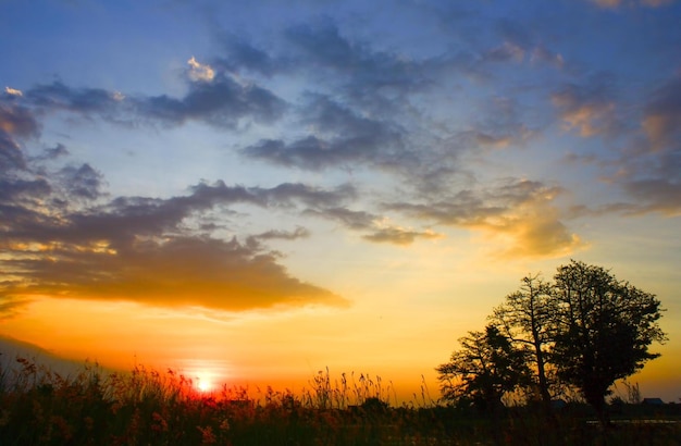 Der tropische Sonnenuntergang des Meeres, der Baum, der Himmel, der Hintergrund