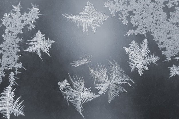 Der ungewöhnliche Frost an einem Winterfenster